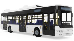 bus
